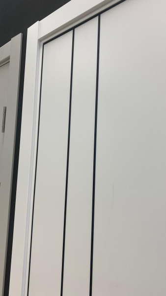 Межкомнатная дверь FlyDoors MATRIX 58 AB Эмалит